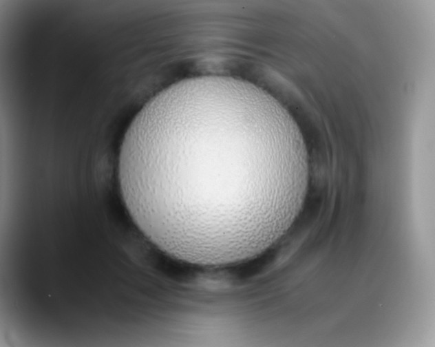 X0000089870603200707191940