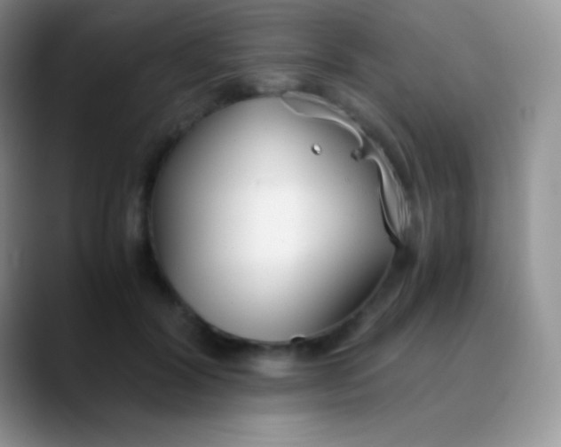 X0000089870604200707191940