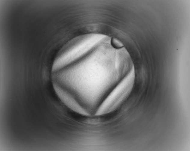 X0000089870606200707191939