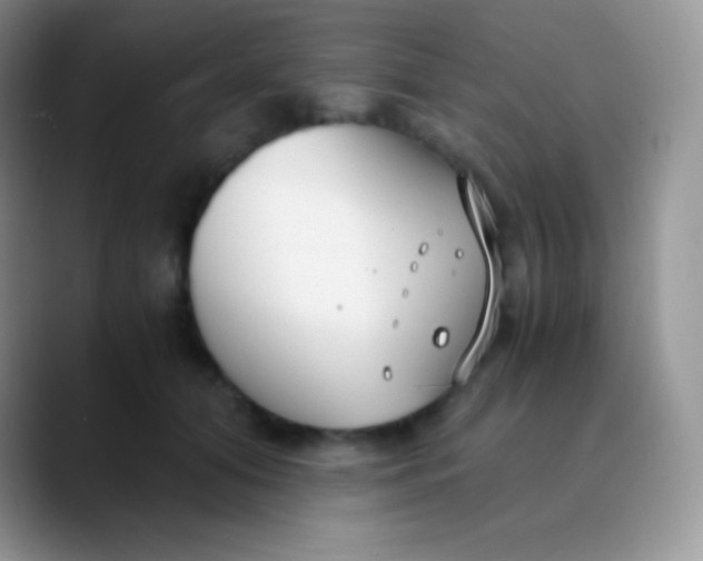 X0000089870608200707191939