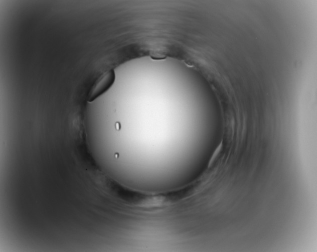 X0000089870609200707191939