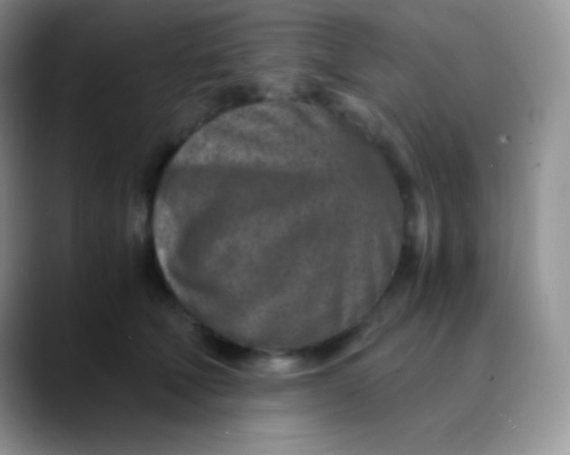 X0000089870610200707191939