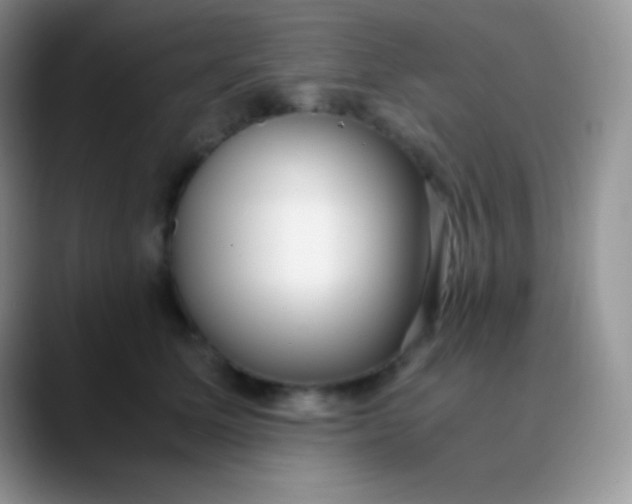 X0000089870611200707191939