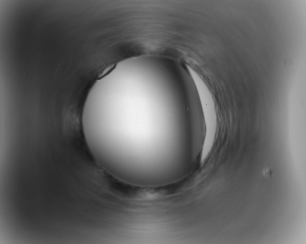 X0000089870613200707191939