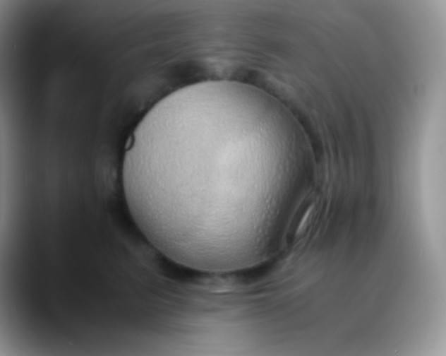 X0000089870615200707191939