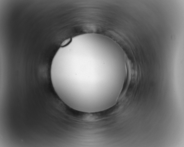 X0000089870616200707191939