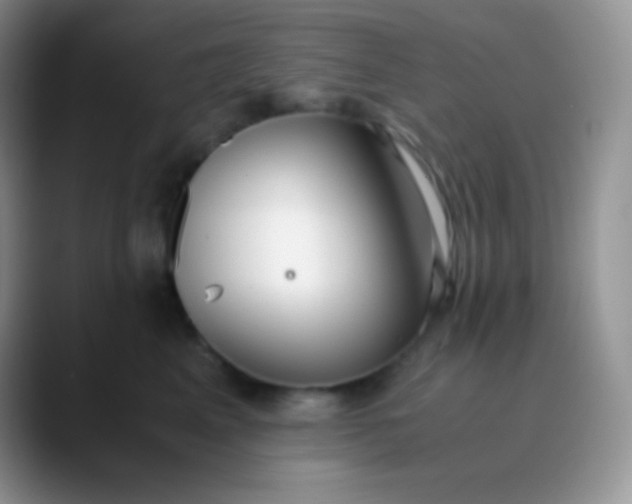 X0000089870617200707191939