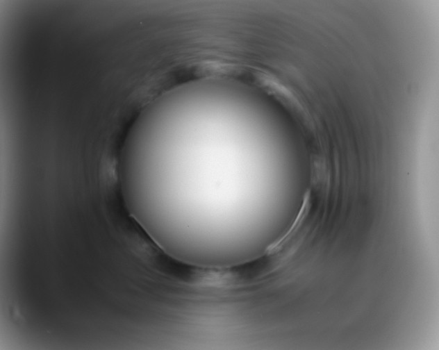 X0000089870621200707191939