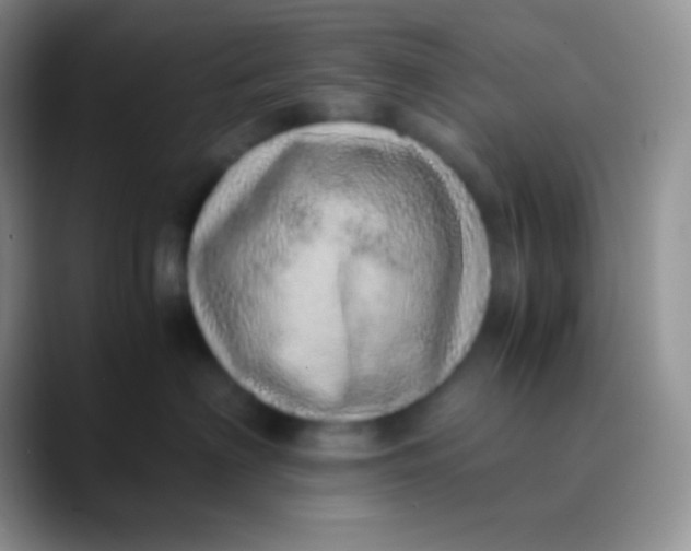 X0000089870622200707191939