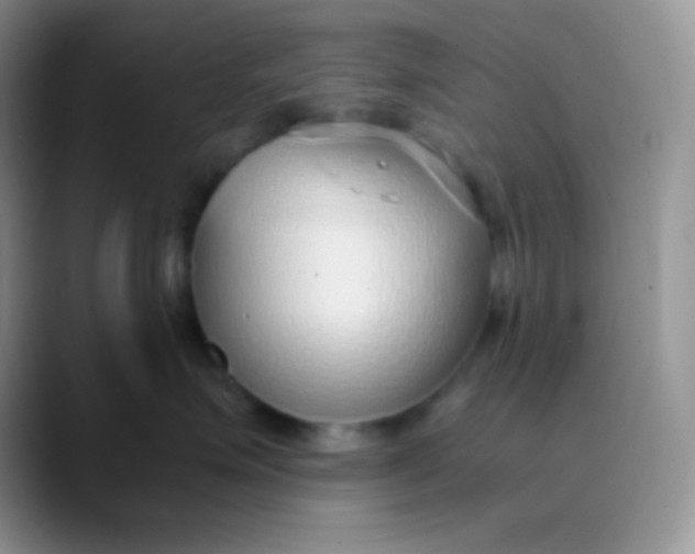 X0000089870623200707191939