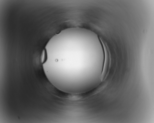 X0000089870624200707191939