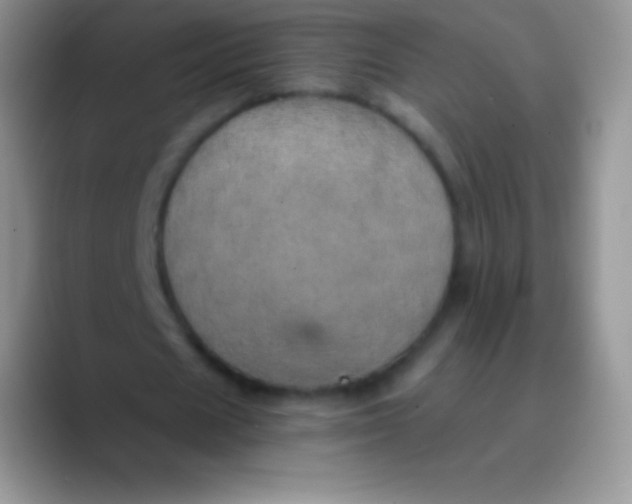 X0000089870625200707191939