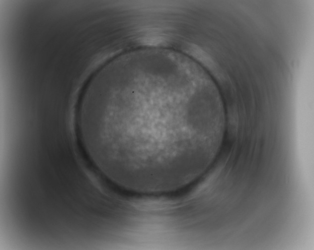 X0000089870626200707191939