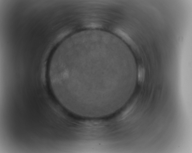 X0000089870627200707191939