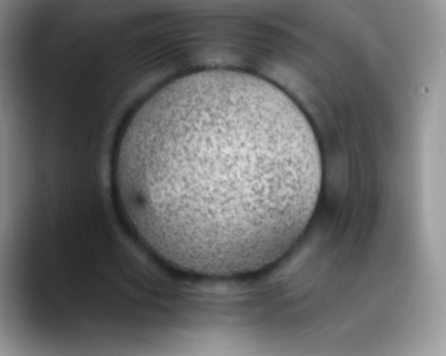 X0000089870629200707191939