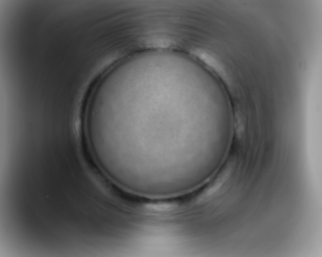 X0000089870630200707191939