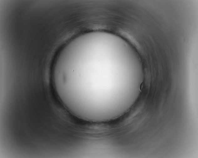 X0000089870631200707191939