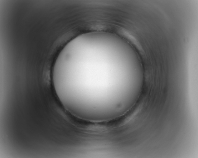 X0000089870633200707191939