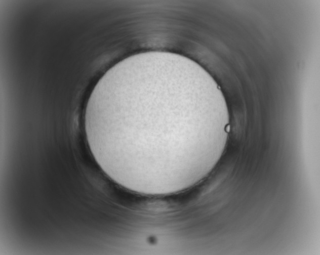 X0000089870636200707191939