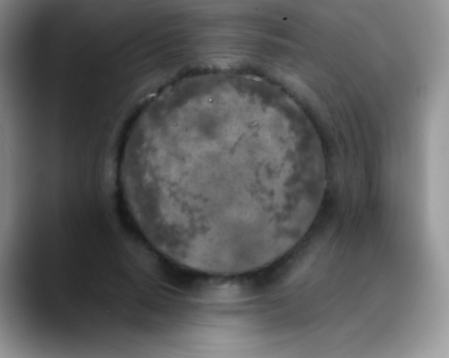 X0000089870640200707191939