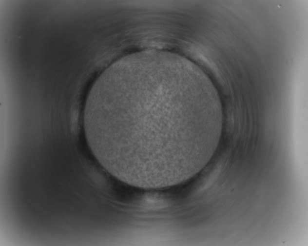 X0000089870641200707191939