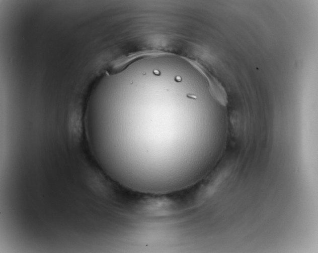 X0000089870642200707191939