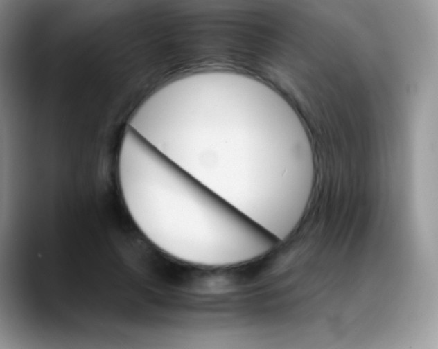 X0000089870643200707191939