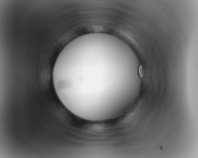 X0000089870645200707191939