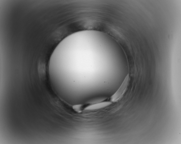 X0000089870646200707191939