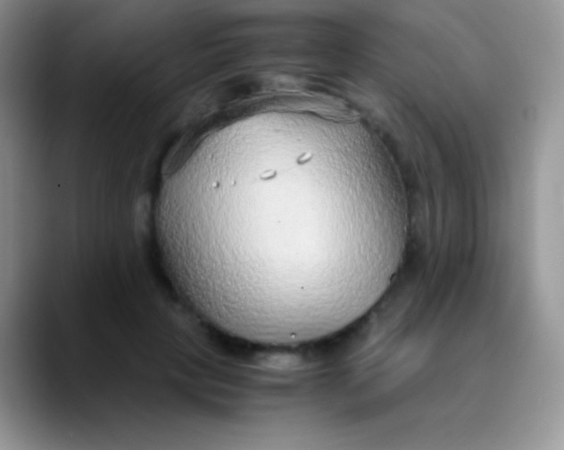 X0000089870649200707191939