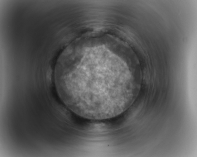 X0000089870650200707191939