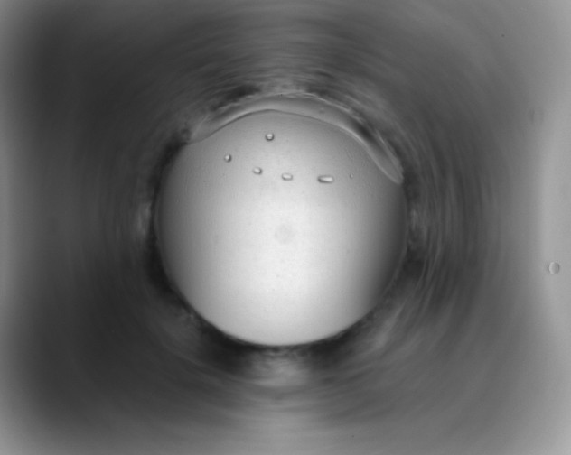 X0000089870652200707191939