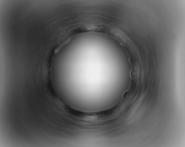 X0000089870653200707191939