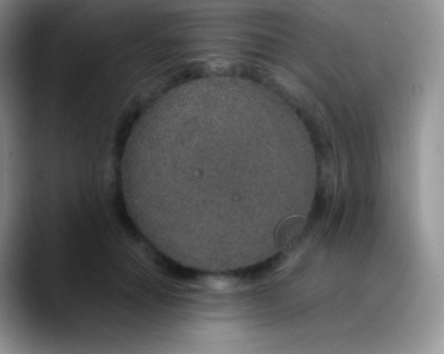 X0000089870654200707191939