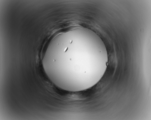 X0000089870655200707191939