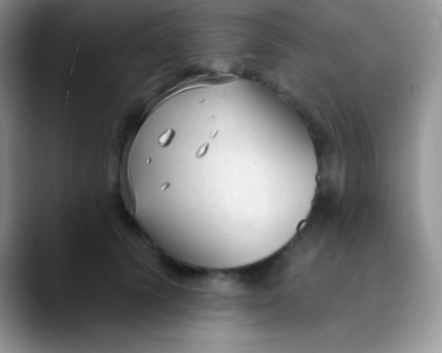 X0000089870656200707191939