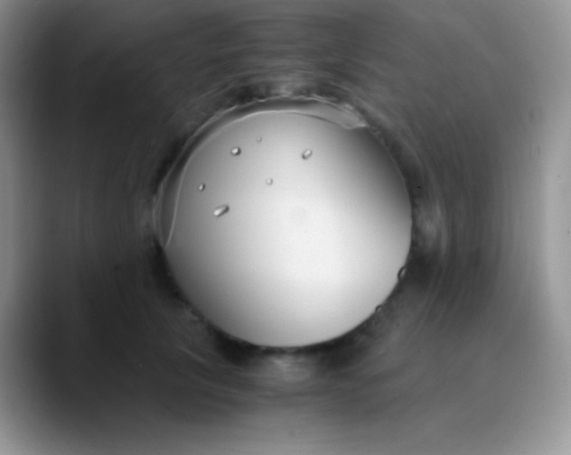 X0000089870657200707191939