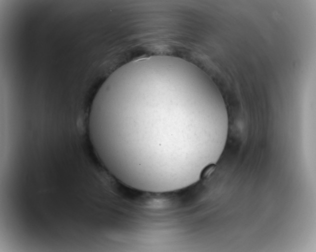 X0000089870658200707191939