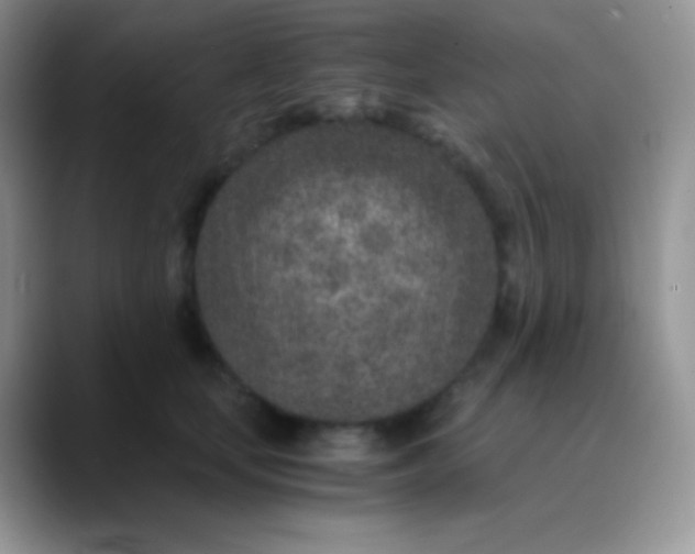 X0000089870659200707191939