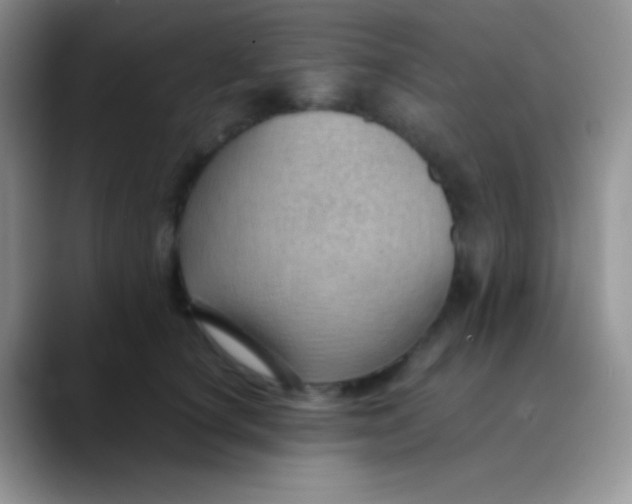 X0000089870660200707191939