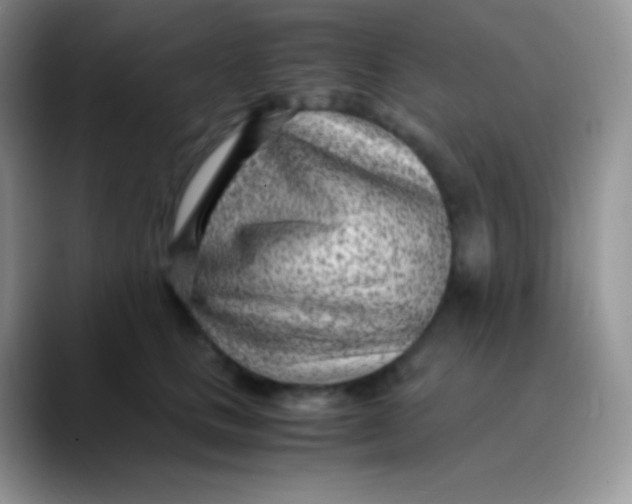 X0000089870661200707191939