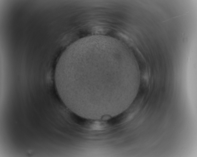 X0000089870663200707191939