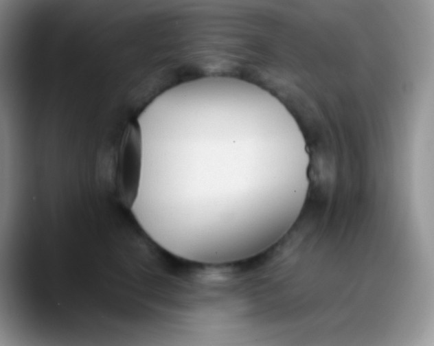 X0000089870664200707191939