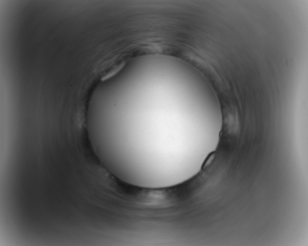 X0000089870665200707191939