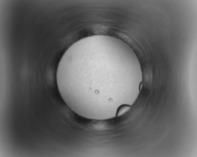 X0000089870667200707191939