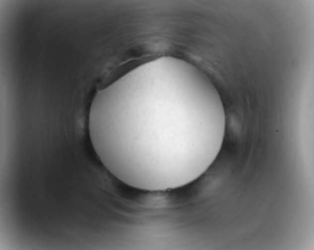 X0000089870668200707191939