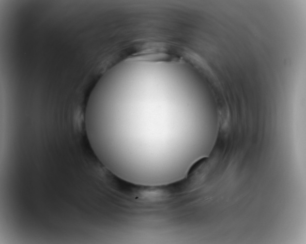 X0000089870669200707191939