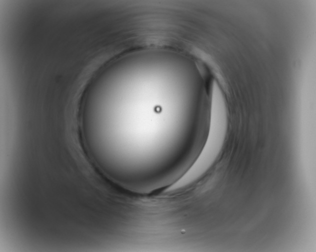 X0000089870673200707191939