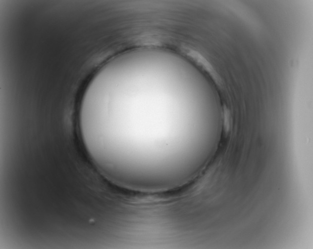 X0000089870675200707191939