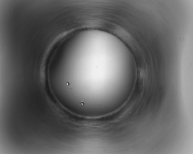 X0000089870676200707191939